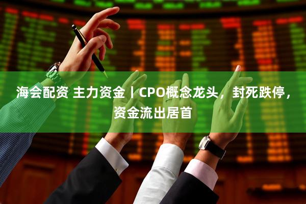 海会配资 主力资金丨CPO概念龙头，封死跌停，资金流出居首